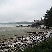 Picture 263